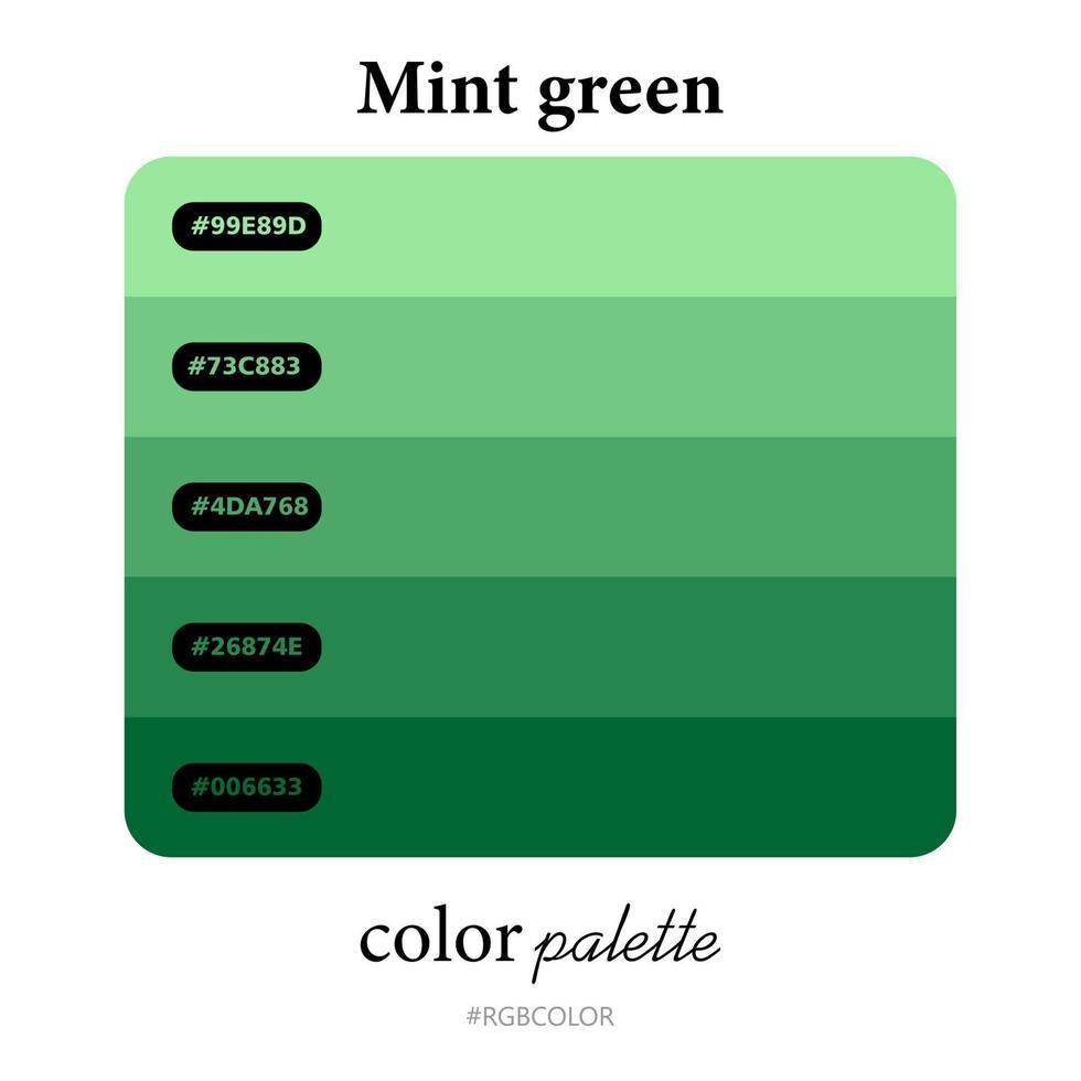 Mint green color palettes accurately with codes, Perfect for use by illustrators vector