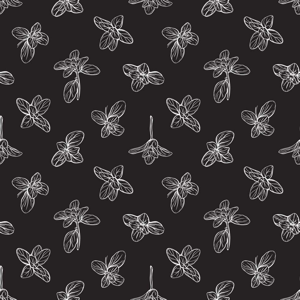 Basil Seamless Pattern. Italian herbs vector