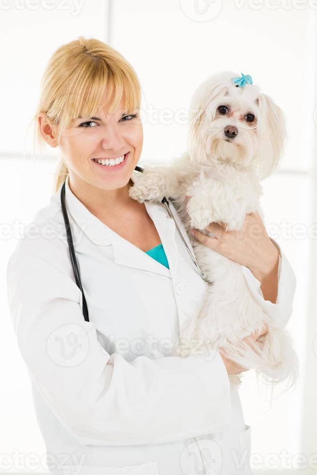 At the veterinary photo