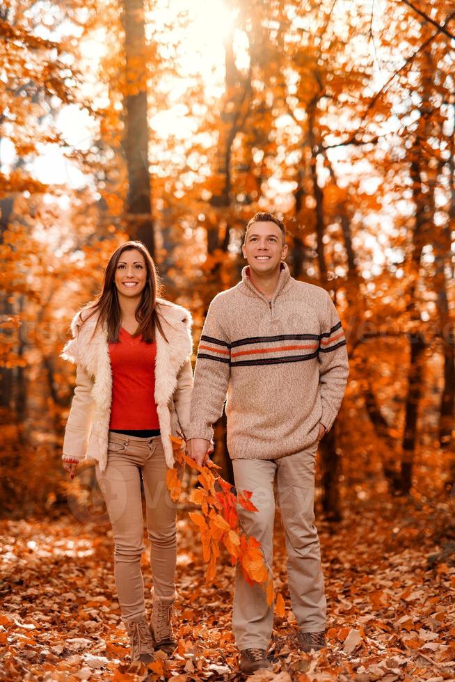 otoño en el bosque foto