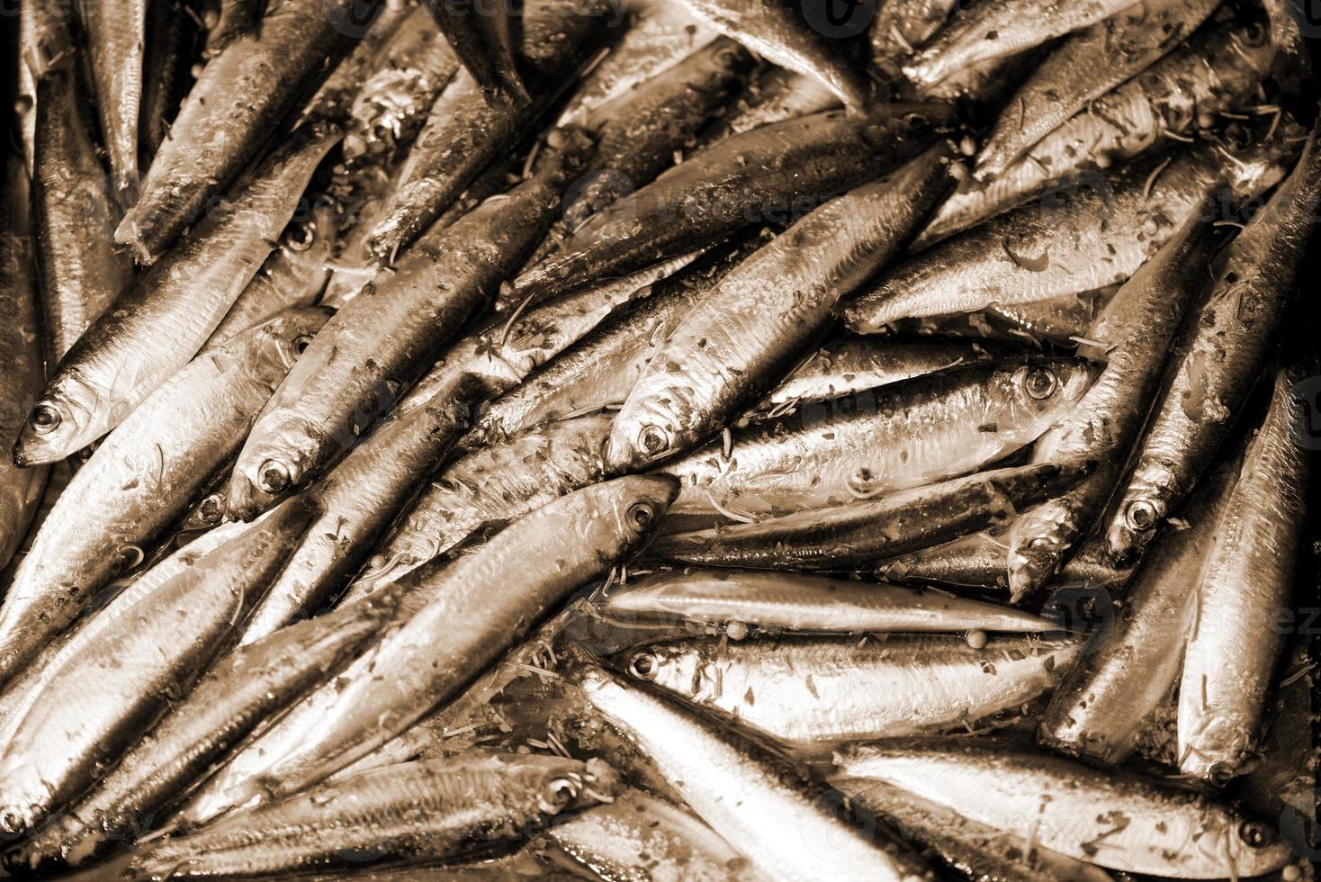 Raw Smelts view photo