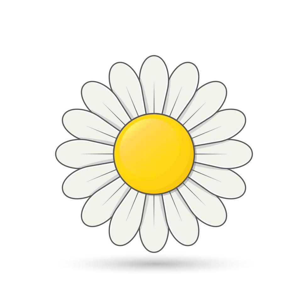 Daisy Cute Flower, simple shadow, daisy vector, flower sign. vector