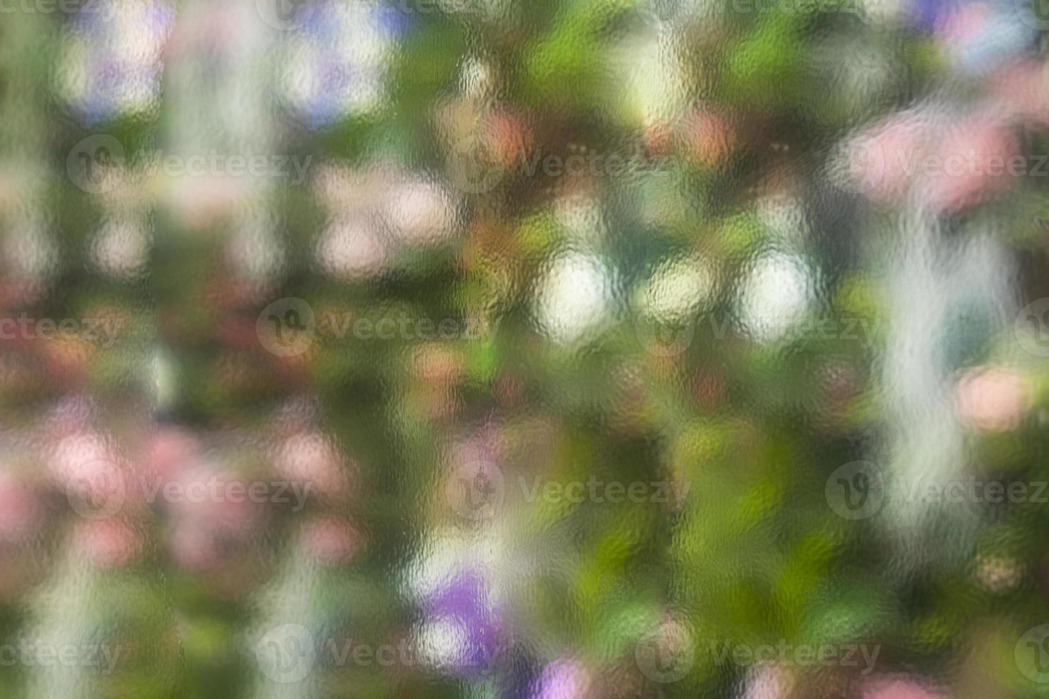 Blurry texture of colors. Lubricated palette. Nature color of plants in weak reflection. photo