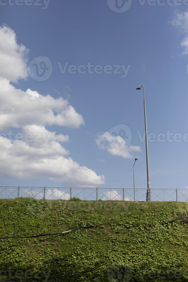 Green zone in city. Park area. Summer day in recreation area. photo