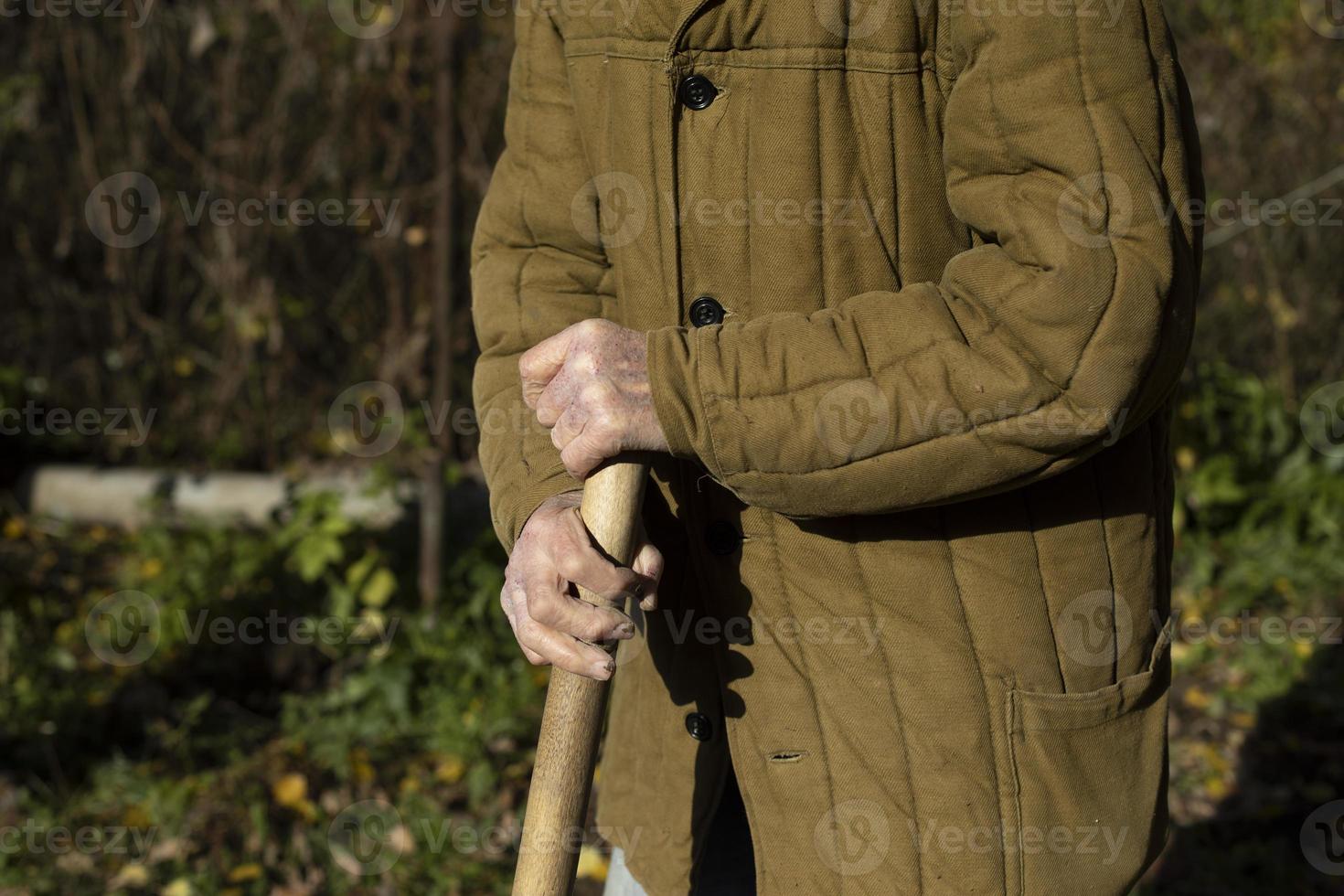 Old man's hands. Old man holding stick. Poor clothes. Elderly person works on land. photo