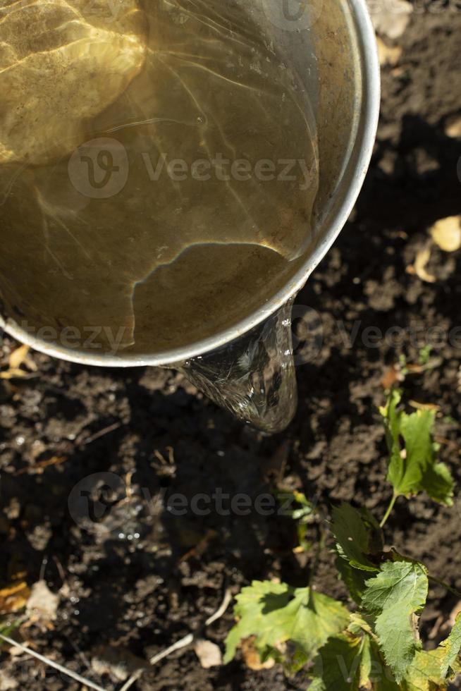 Water in bucket. Steel bucket in garden. Reflection of sun in water for
