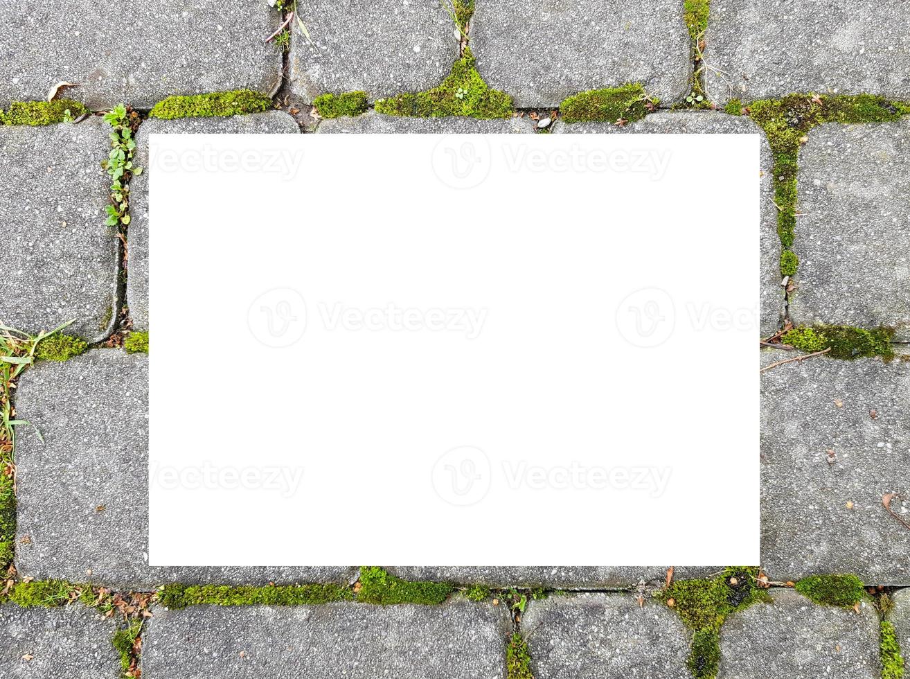 Blank frame on road paving stones with green moss in gaps between. Background with grey cobblestone border and rectangular white frame, place for text. photo