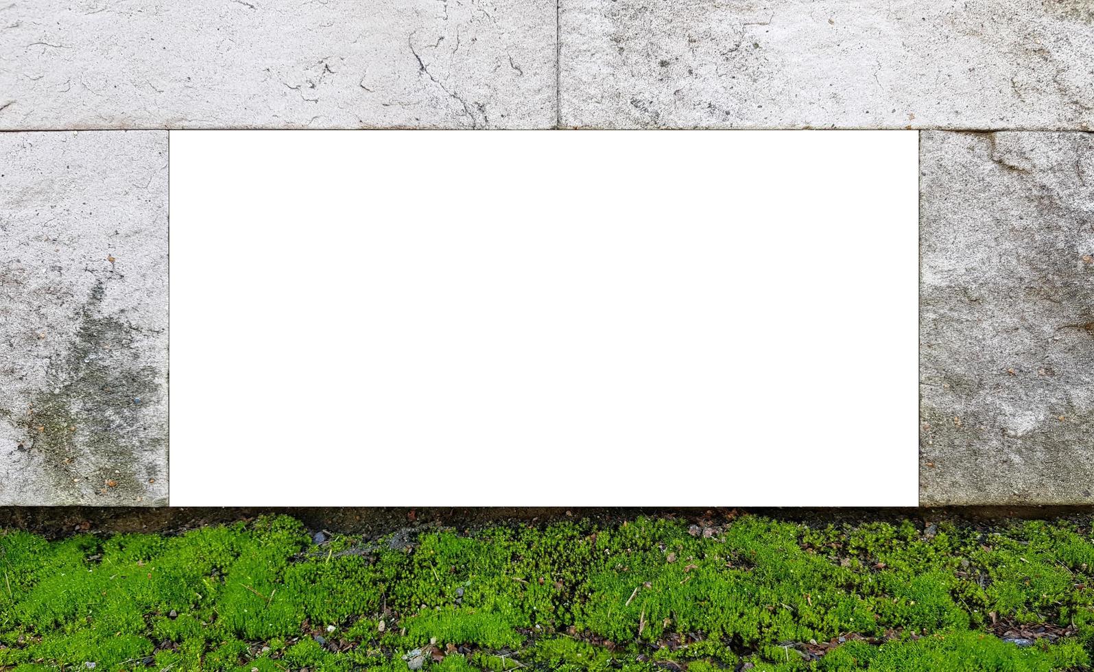 Blank white frame for text on old stone wall with green moss at the bottom. photo