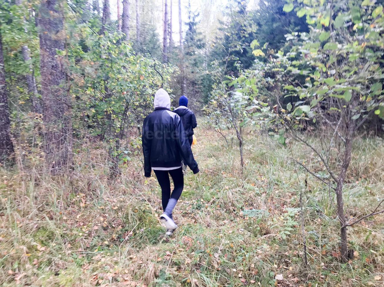 People, mushroom pickers in warm clothes walk in a hike through the autumn forest with trees in the nature along the grass and leaves photo