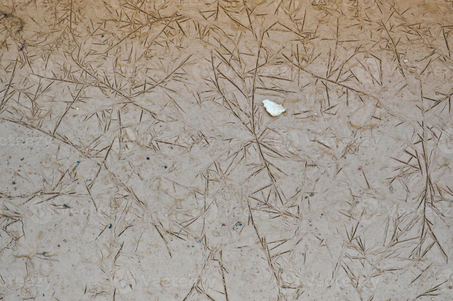 Clay brown wet ground with small cracks and patterns. Texture, background photo
