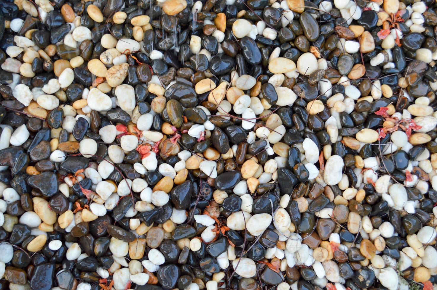 Texture of different unusual stones wet with water from different colors black white red yellow brown natural round. The background photo