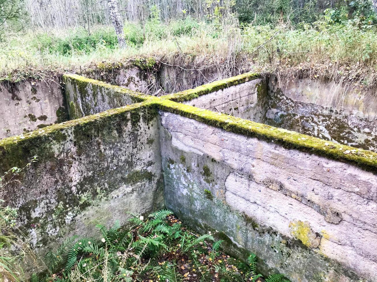 Old concrete cement cement unfinished underground foundation of a ruined building overgrown with green moss photo