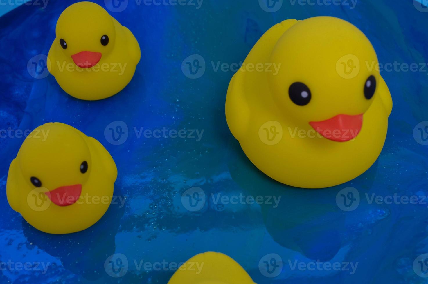 Beautiful yellow rubber bathtub toy ducks swim on a blue water background photo