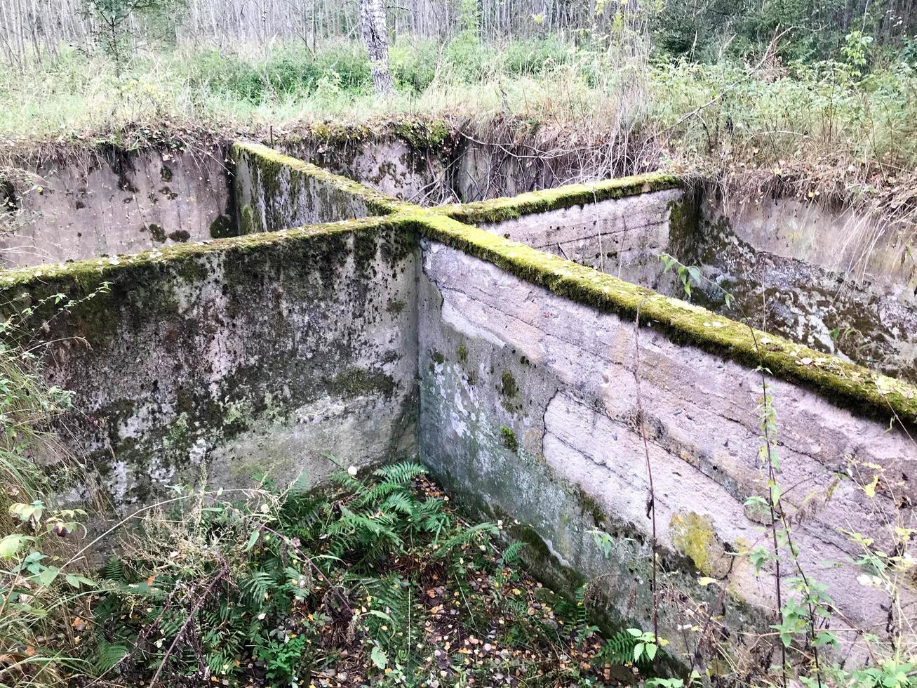 Cemento de cemento de hormigón antiguo cimientos subterráneos inacabados de un edificio en ruinas cubierto de musgo verde foto