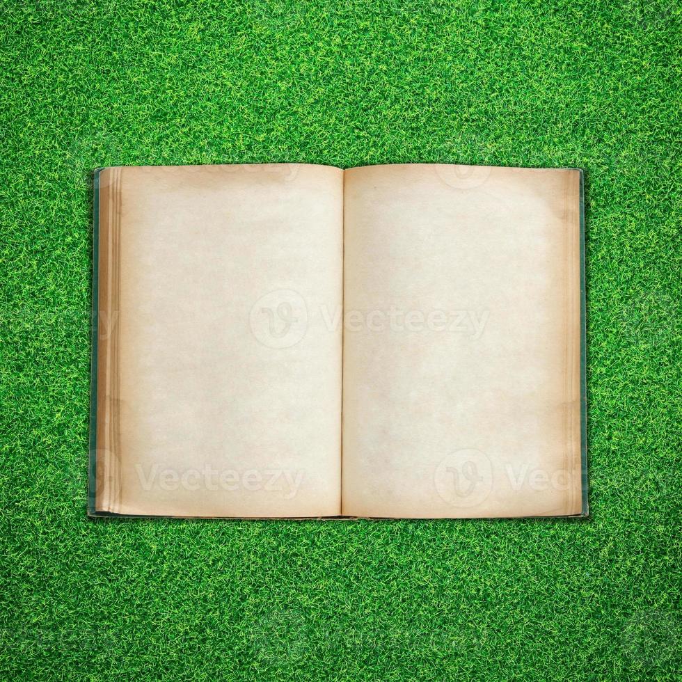 Old book open on green grass background photo