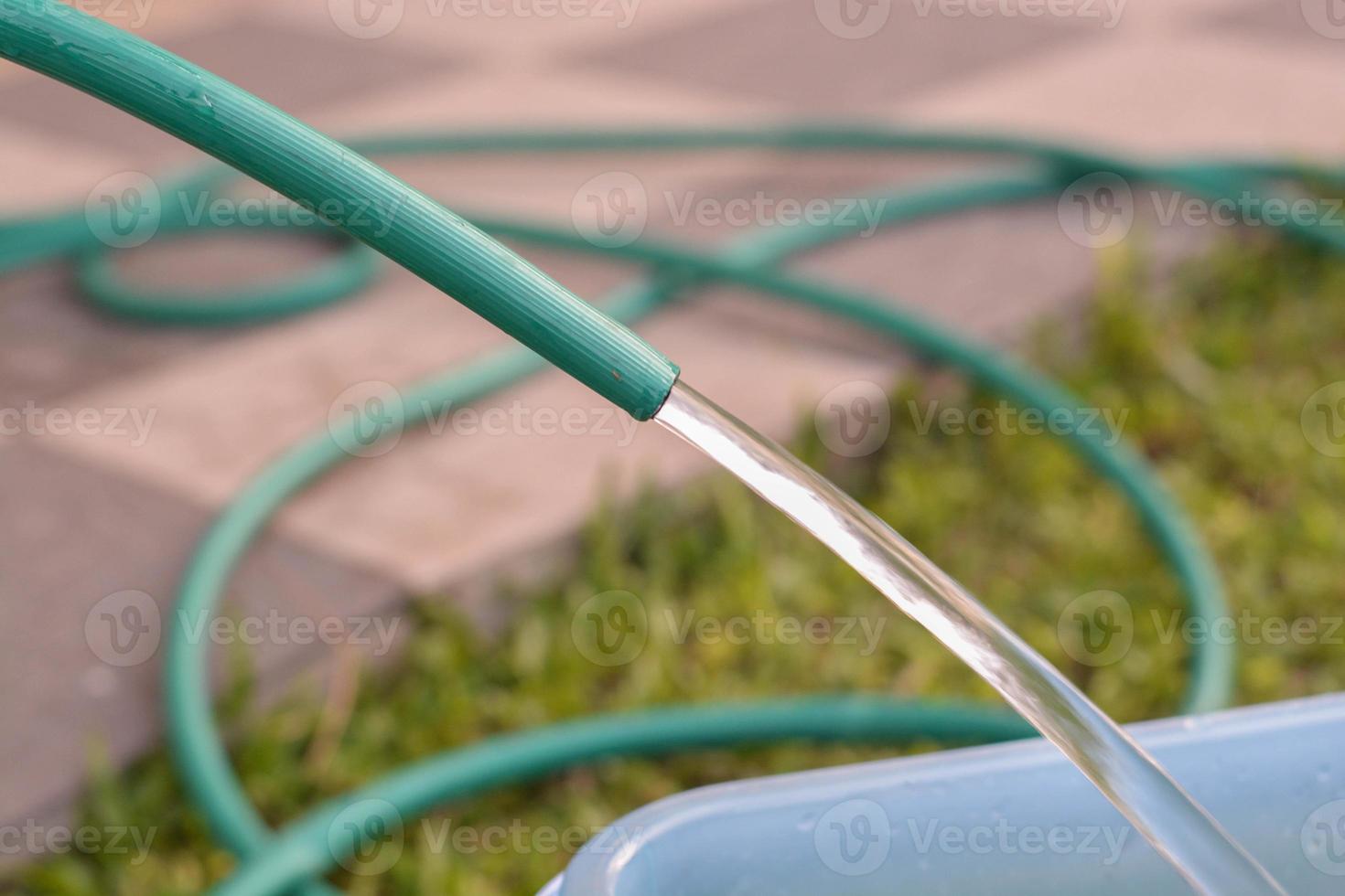 Close-up green garden hose was poured water from rubber tube put in the blue bucket at garden. photo