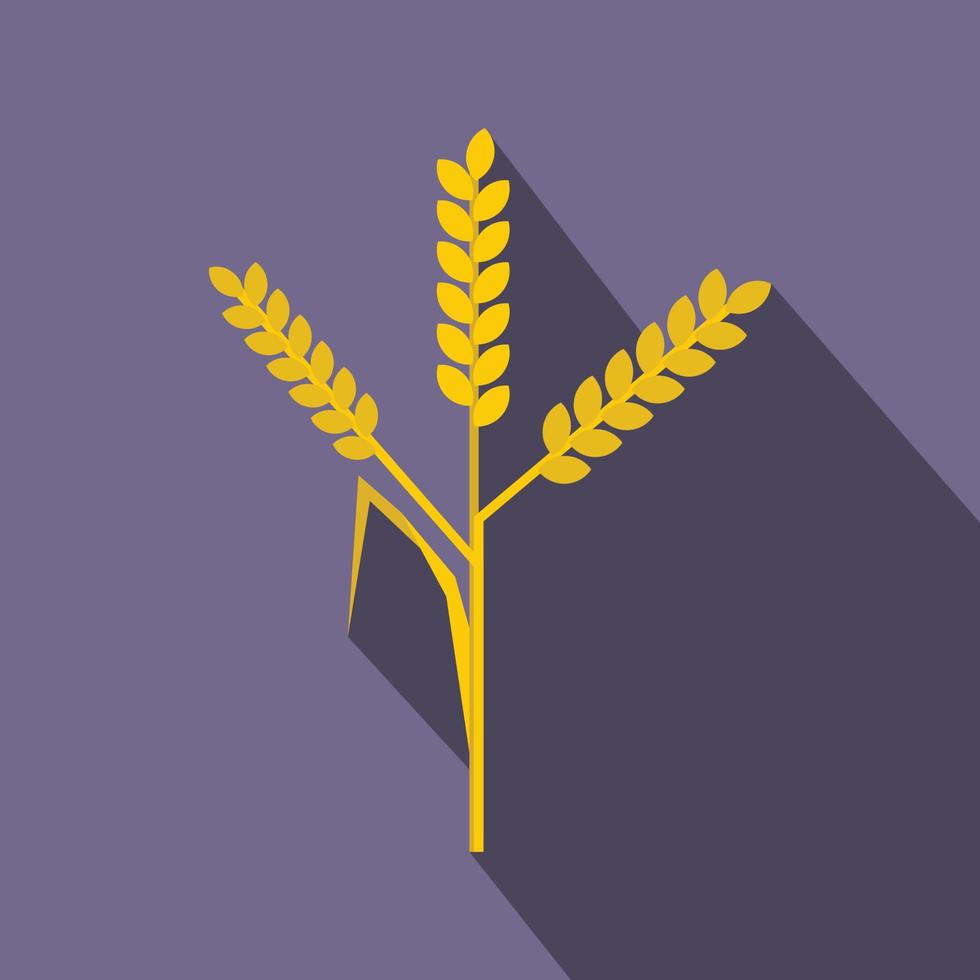 Wheat ears icon, flat style vector