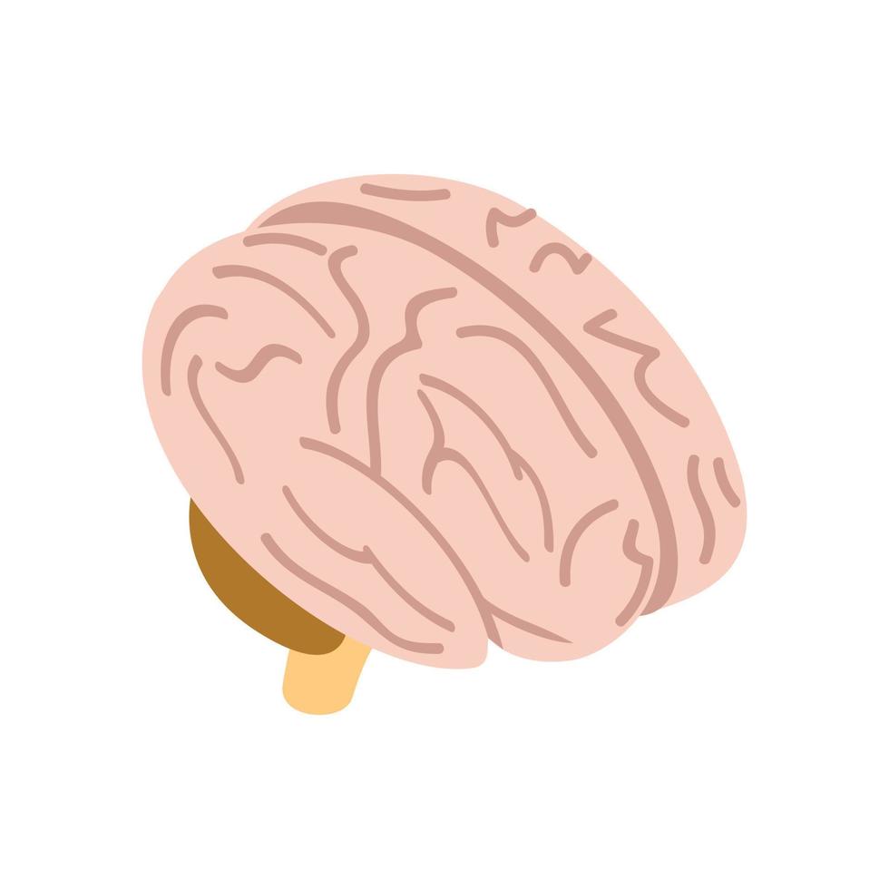 Human brain isometric 3d icon vector
