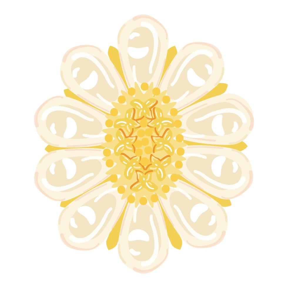 vector de dibujos animados de icono de joyería de flor de oro. joyas de oro