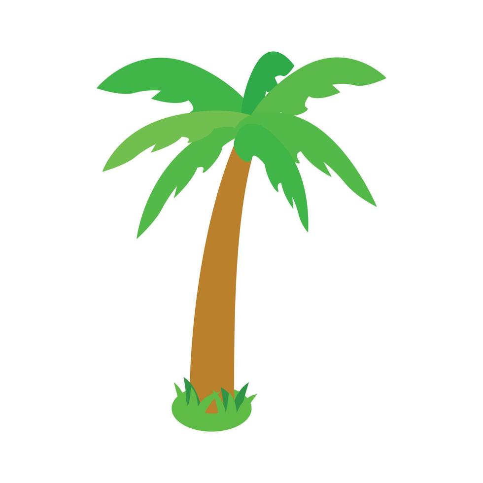 Palm tropical tree icon, isometric 3d style vector