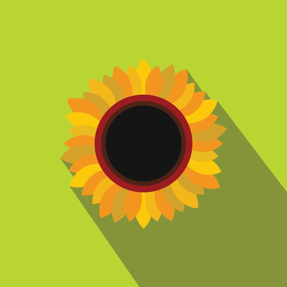 Sunflower flat icon vector