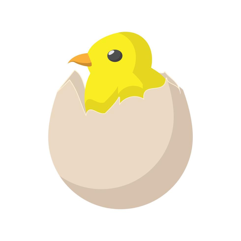 Yellow newborn chicken hatched from the egg icon vector