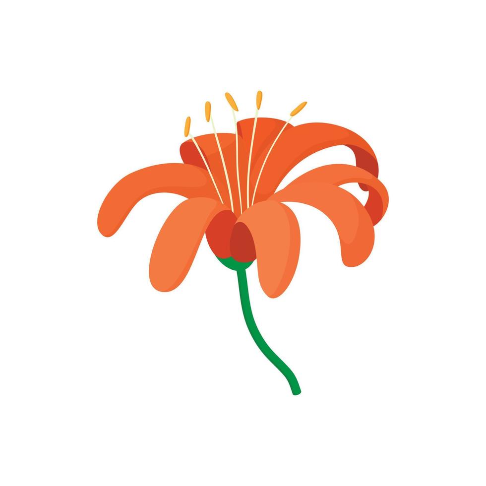 Orange lily icon, cartoon style vector