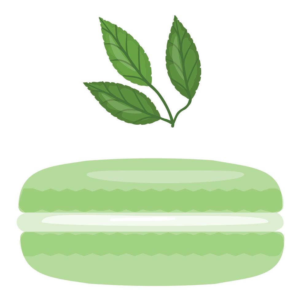 Mint macaroon icon cartoon vector. French cookie vector