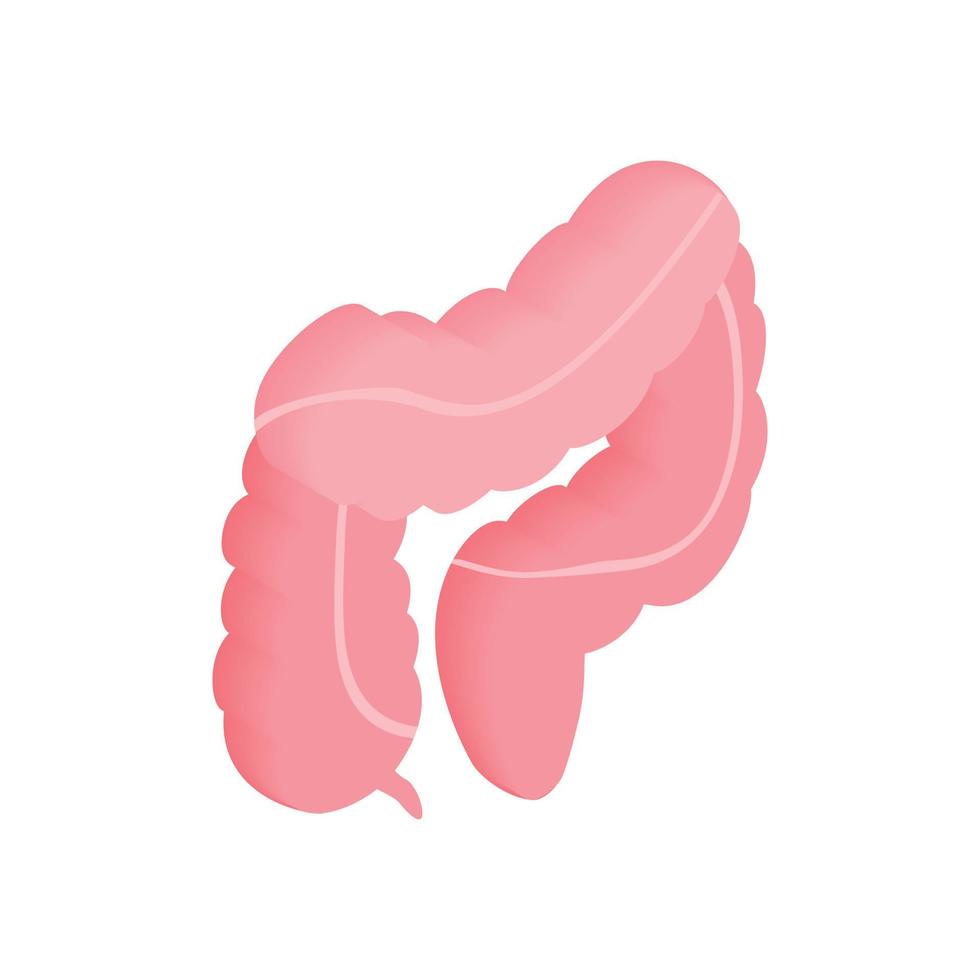 icono 3d isométrico del intestino grueso vector