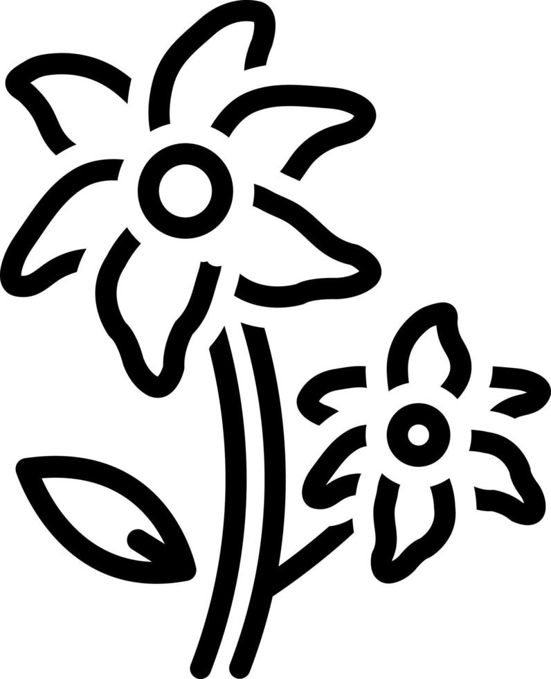 line icon for lily flowers vector