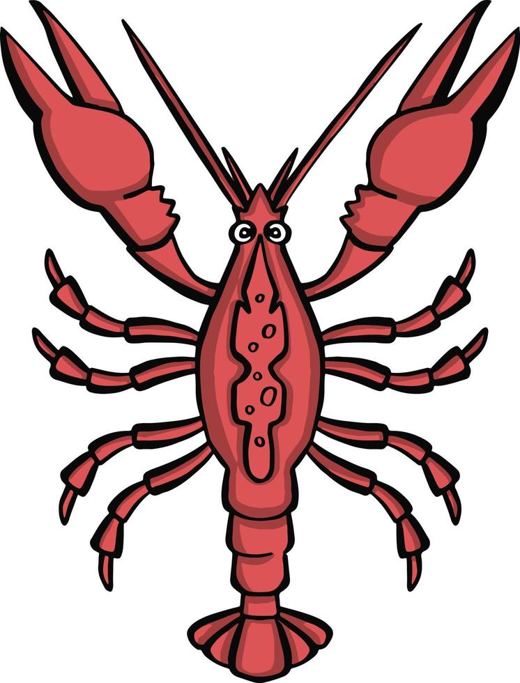 Crayfish pink, snack for beer   illustration vector