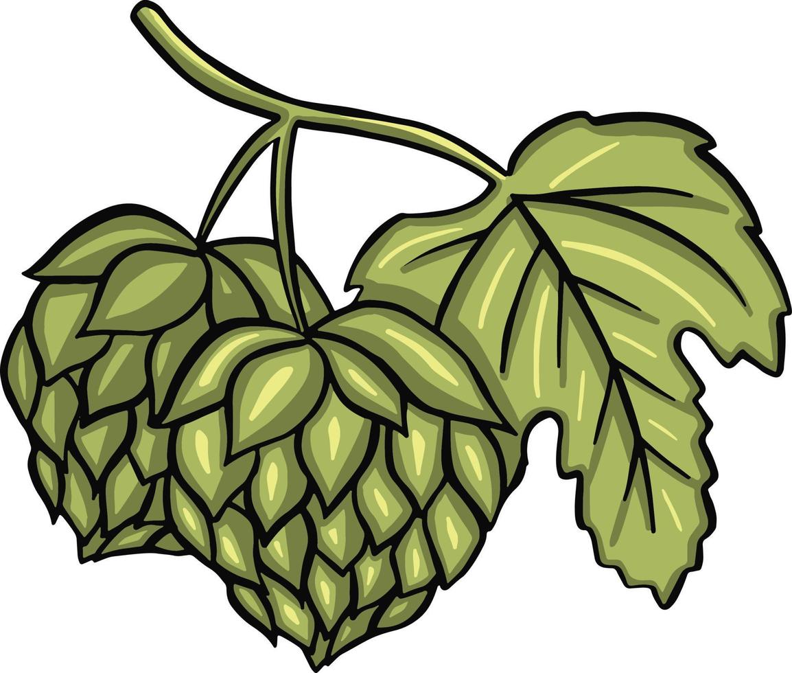 Ilustración de vector de planta de cerveza de lúpulo