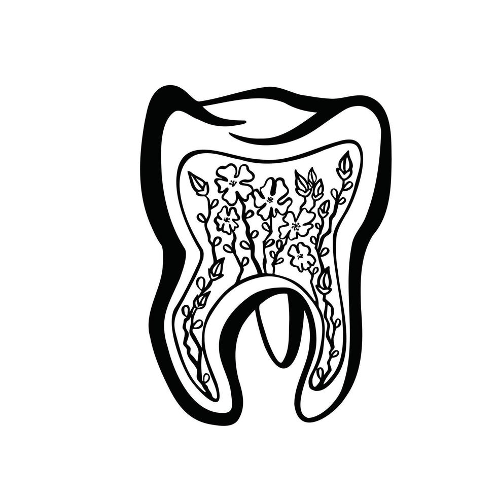 nervios y encías dentales saludables, vector monocromo