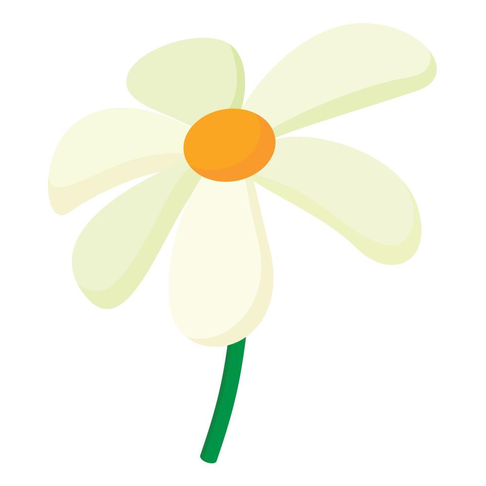 Chamomile icon, cartoon style vector