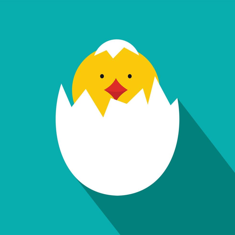 Yellow newborn chicken hatched from the egg icon vector