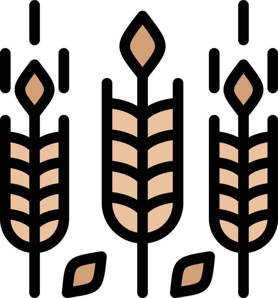 Wheat Vector Icon Design Illustration