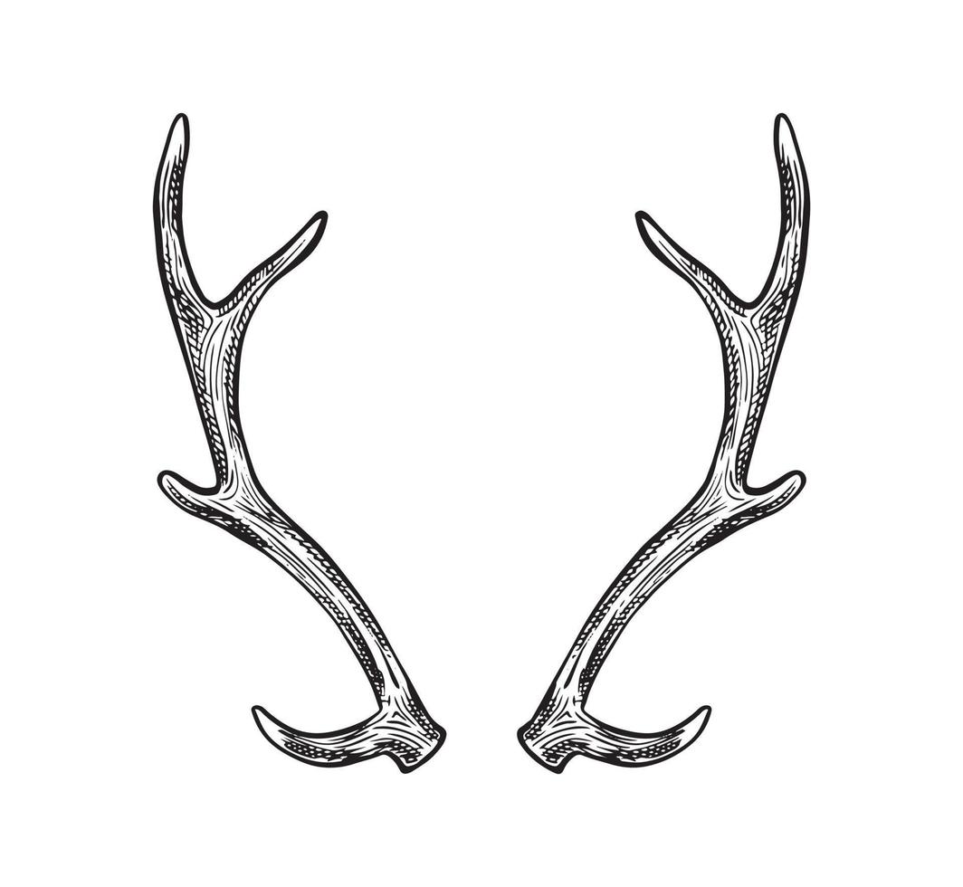 Vector hand drawn icon. Horns. Isolated on white background.