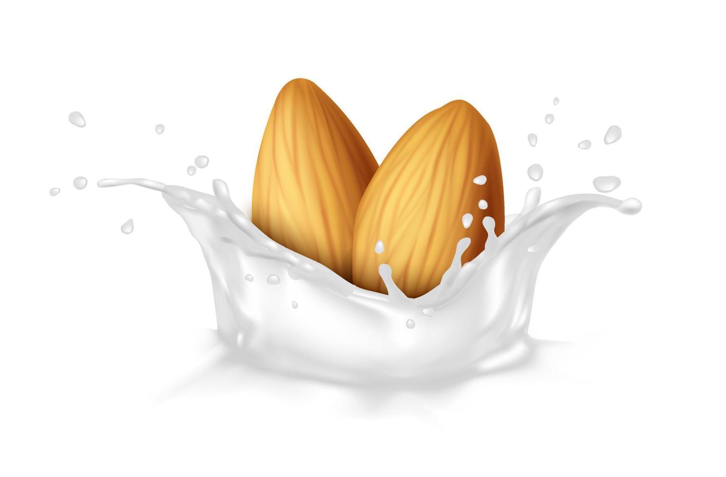 3d realistic vector icon. Design element for packaging, banners, advertising and flyers. Dairy. Almonds in a milk splash.