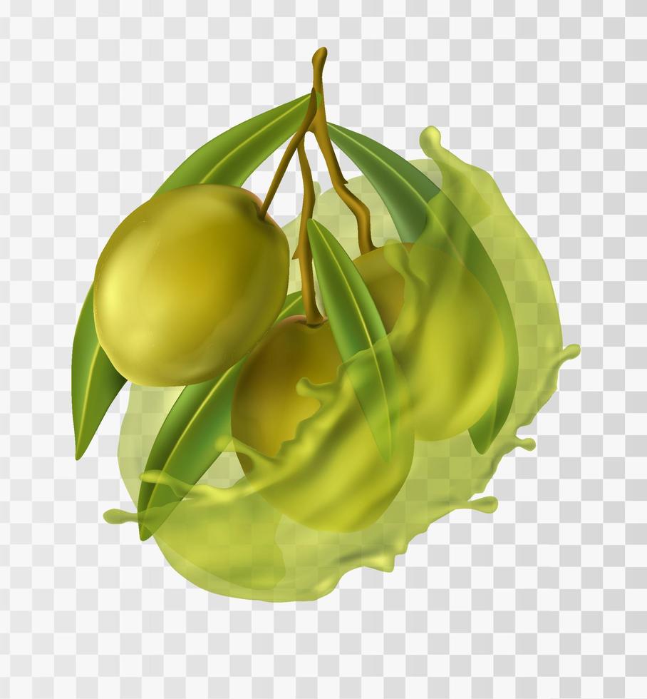 3d realistic vector icon. Green olives branch. Olive oil splash.