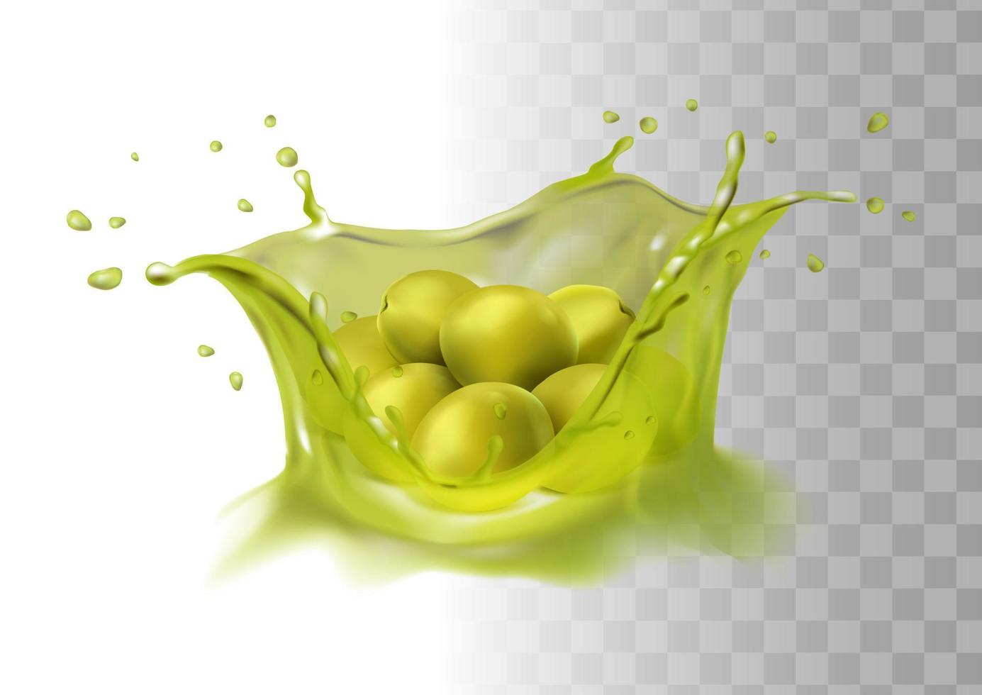 3d realistic vector icon. Olive oil splash. Green olives.