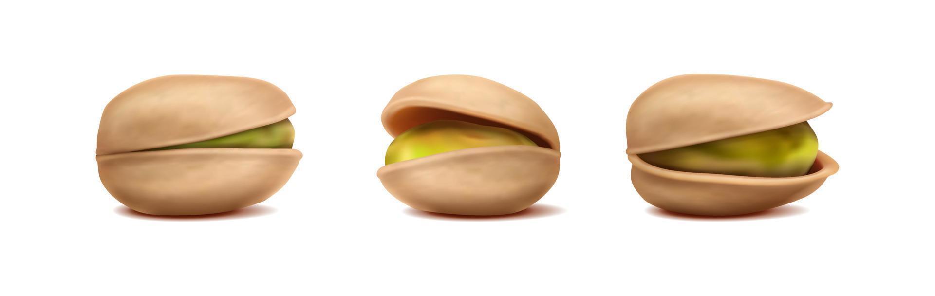 Icono de vector realista 3d. elemento de diseño para empaques, pancartas, publicidad y volantes. colección de pistachos con cáscara. aislado sobre fondo blanco.