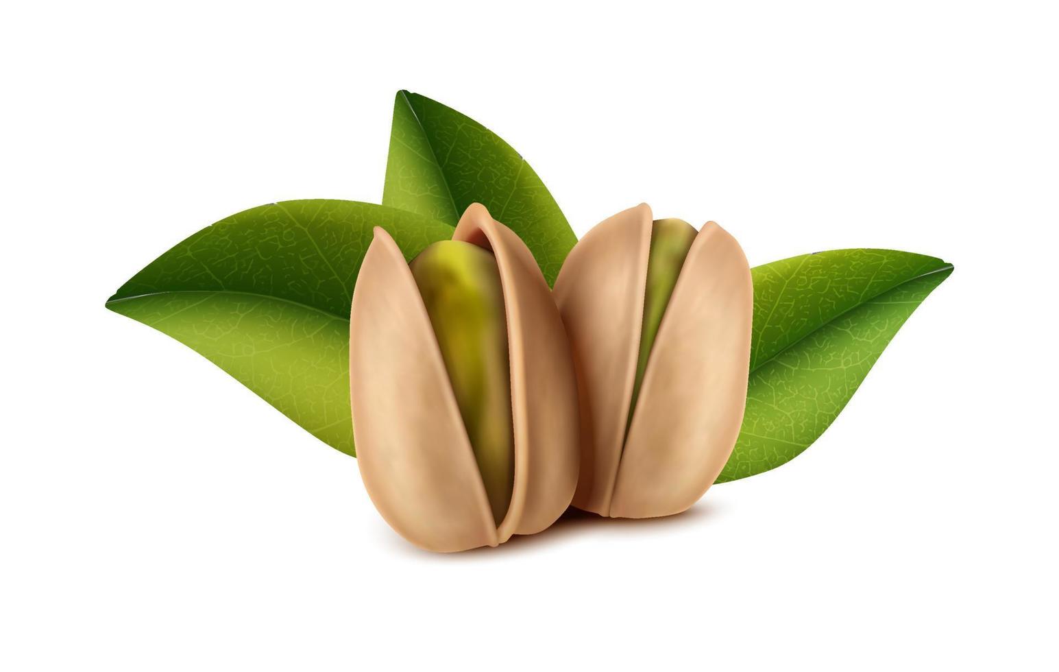 3d realistic vector icon. Design element for packaging, banners, advertising and flyers.
