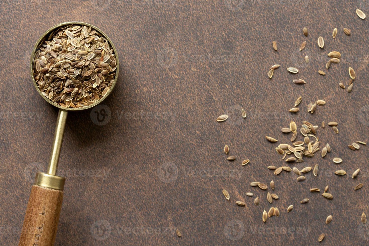Dills Seeds on a Spoon photo