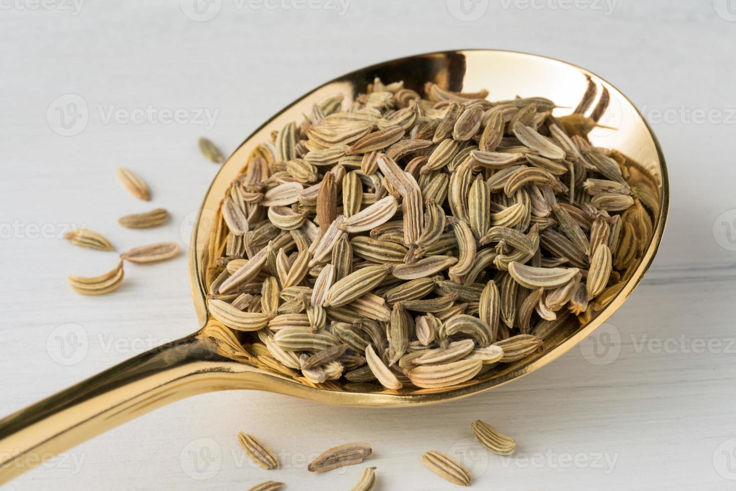 Fennel Seeds on a Spoon photo