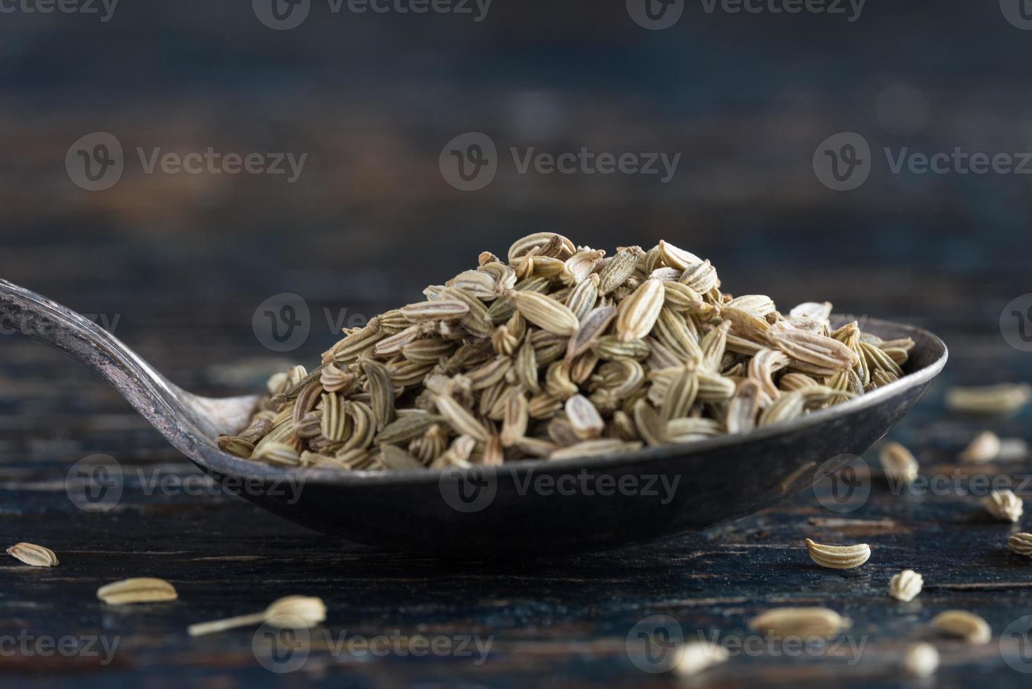 Fennel Seeds on a Spoon photo