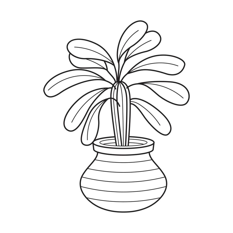 Vector outline house plant in pot. Indoor home plant with leaves. Cacti for home and interior. Botanical doodle linear black and white illustration isolated on white background.