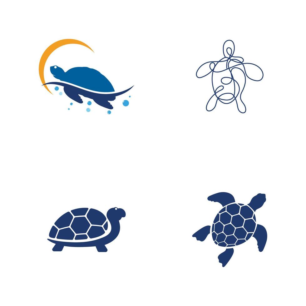 Turtle animal cartoon icon vector