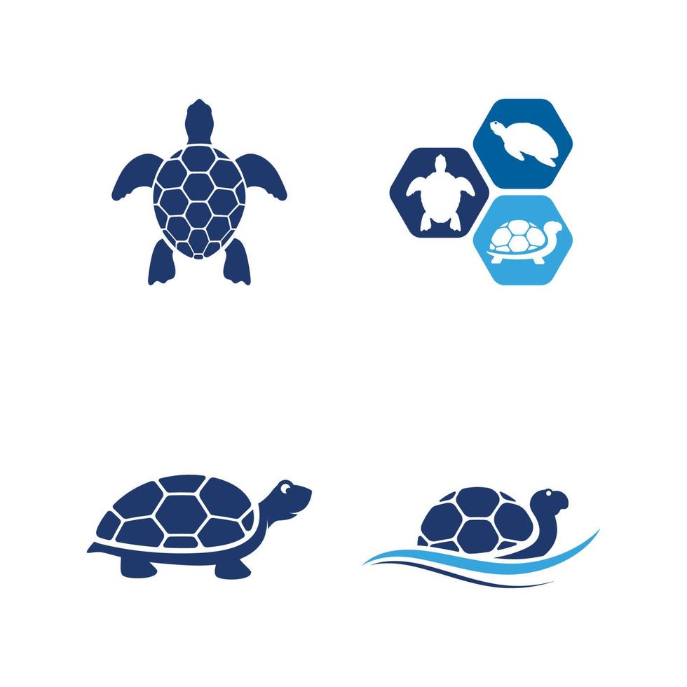 tortuga, animal, caricatura, icono vector