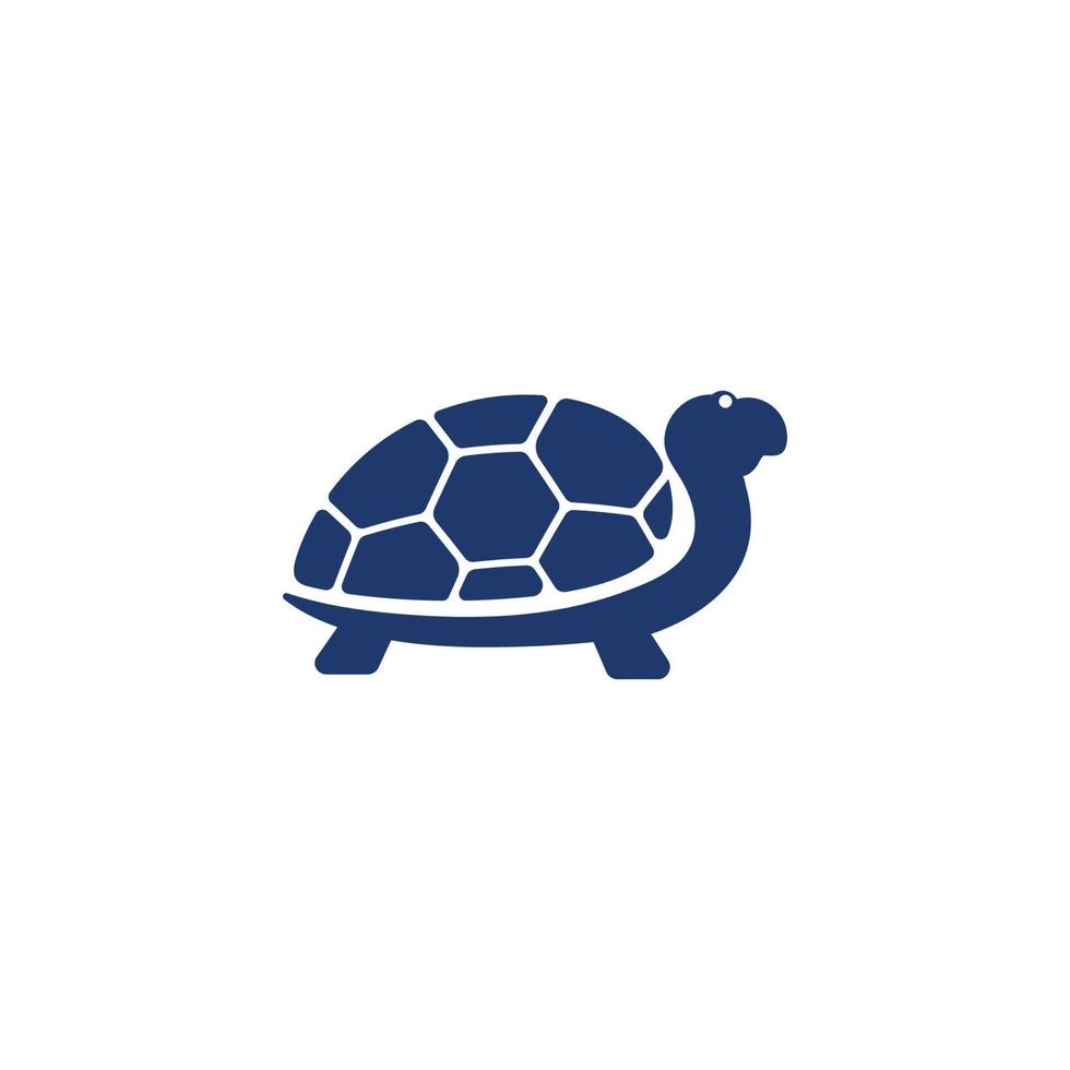 Turtle animal cartoon icon vector