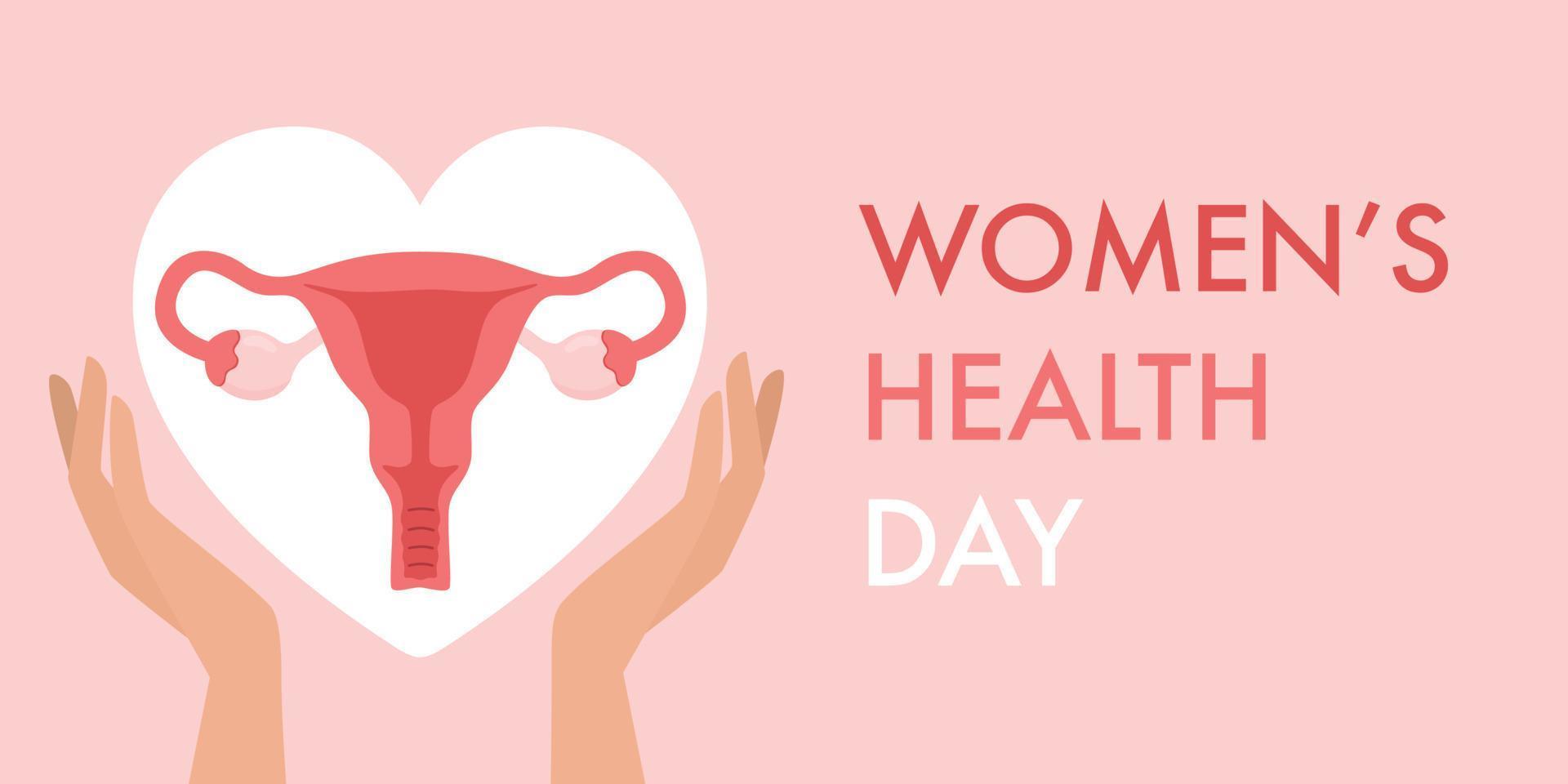 Womens health day banner. Illustration uterus in hands. vector